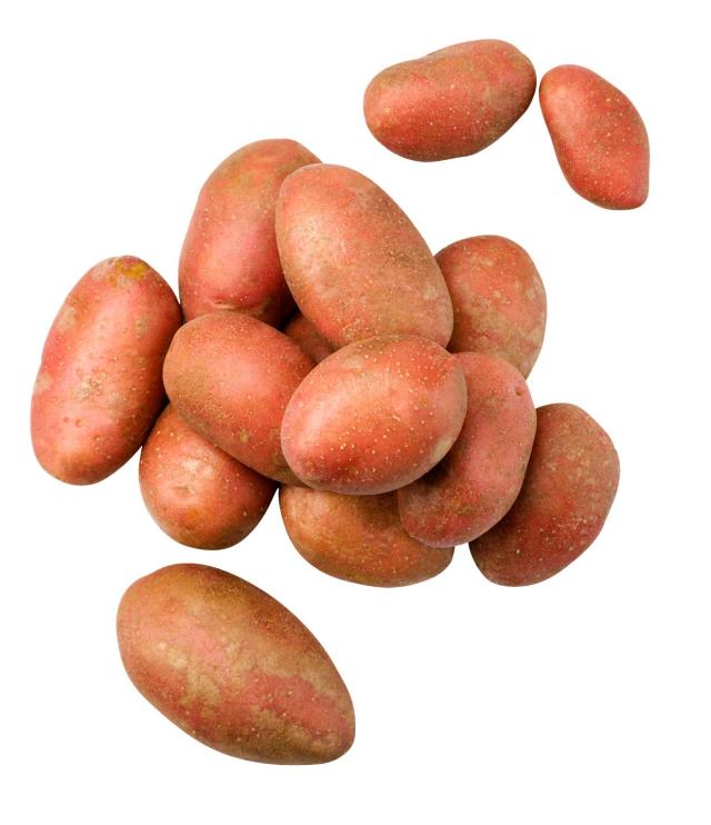 K-Jarmark Brambory červené konzumní pozdní varný typ: A