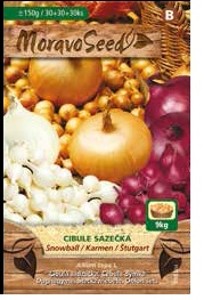 Cibule sazečka Snowball Karmen Stutgart