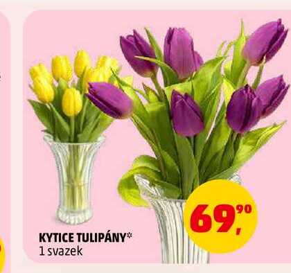 KYTICE TULIPÁNY, 1 svazek