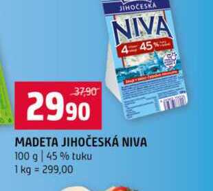 MADETA JIHOČESKÁ NIVA 100 g 45% tuku 