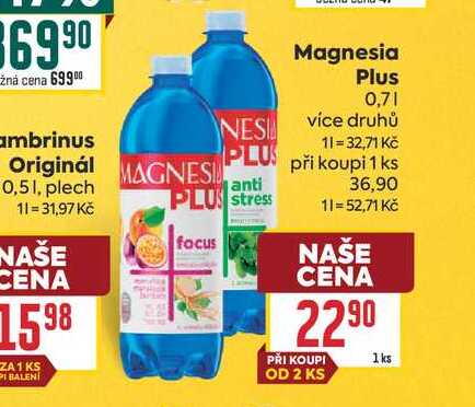Magnesia Plus 0,7l
