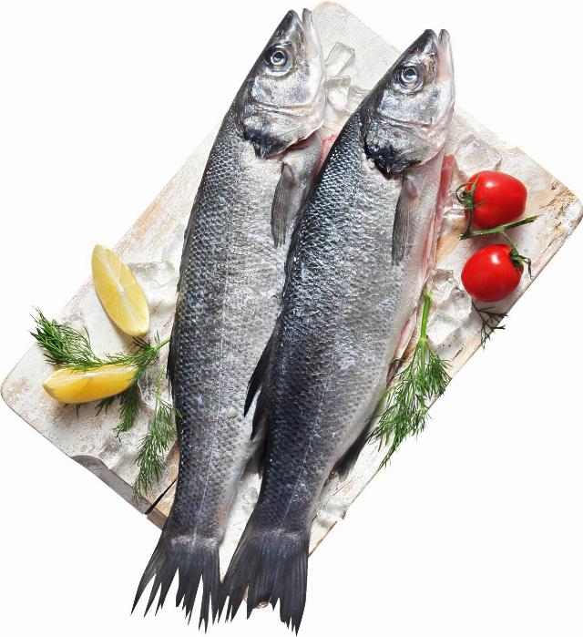 Mořský vlk (Dicentrarchus labrax) celý, chlazený v pultu