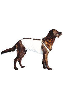 Bandáž břišní č.6 pro psy 57cm německá doga 1ks Cvet