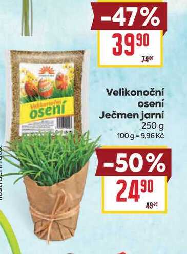 Velikonoční osení Ječmen jarní 250 g 