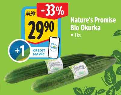 Nature's Promise Bio Okurka, 1 ks