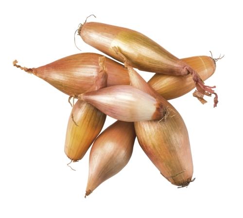 Cibule šalotka, 500 g