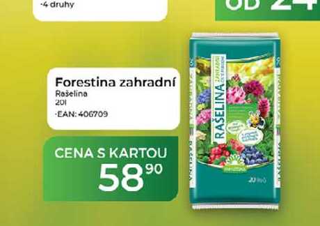 Forestina zahradní Rašelina 201