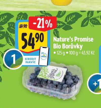  Nature's Promise Bio Borůvky 125 g 