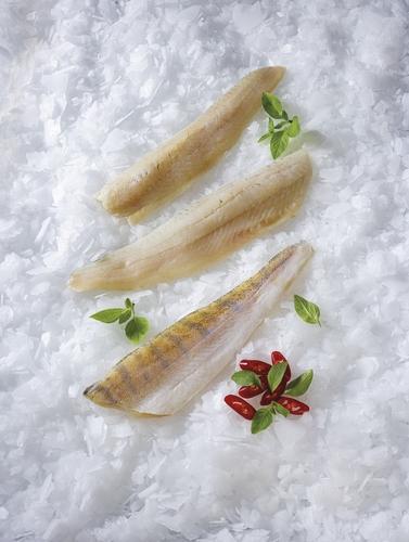 Candát filet s kůží, 1 kg