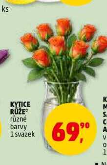 KYTICE RŮŽE, 1 svazek