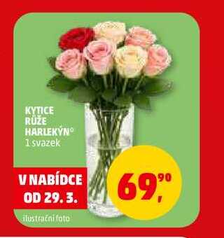 KYTICE RŮŽE HARLEKỲN, 1 svazek