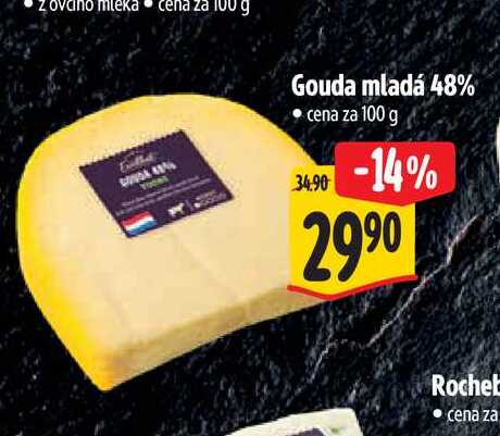   Gouda mladá 48%  100 g