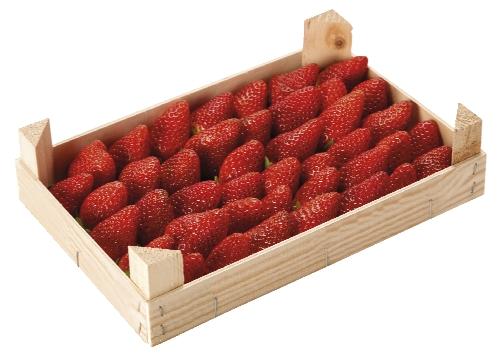 Jahody, 1 kg