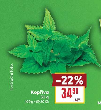 Kopřiva 50 g 