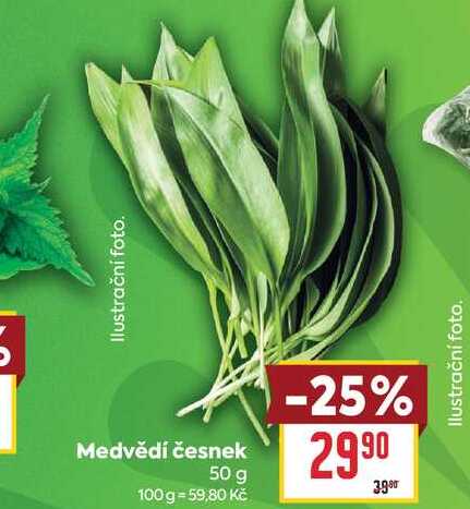 Medvědí česnek 50 g 