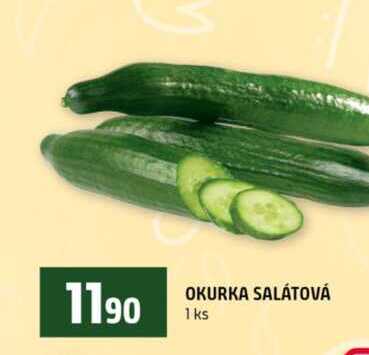 OKURKA SALÁTOVÁ 1ks