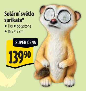 Solární světlo surikata