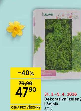 Dekorativní zelený lišejník, 30 g 