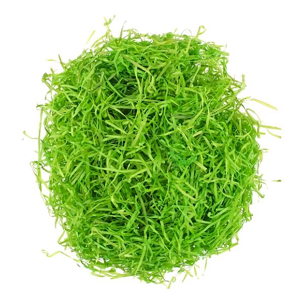 Anděl Přerov Tráva dekorační dřevěná, zelená, 50 g