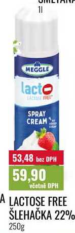 LACTOSE FREE ŠLEHAČKA 22% 250g 