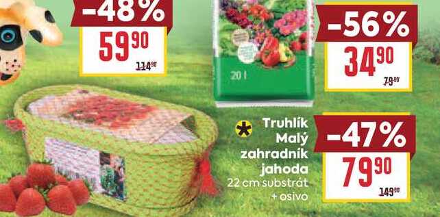 Truhlík Malý zahradník jahoda 22 cm 