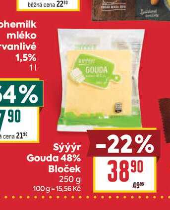 Sýýýr Gouda 48% Bloček 250 g