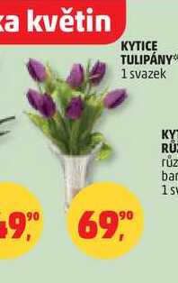 KYTICE TULIPÁNY, 1 svazek