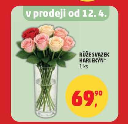 RŮŽE SVAZEK HARLEKÝN, 1 ks 