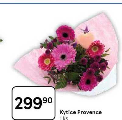 Kytice Provence, 1 ks 