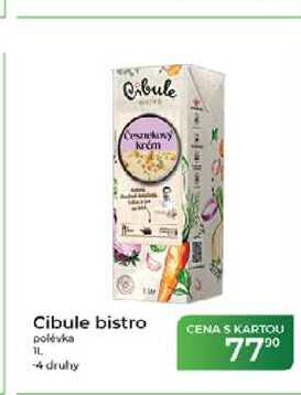 Cibule bistro polévka 1l