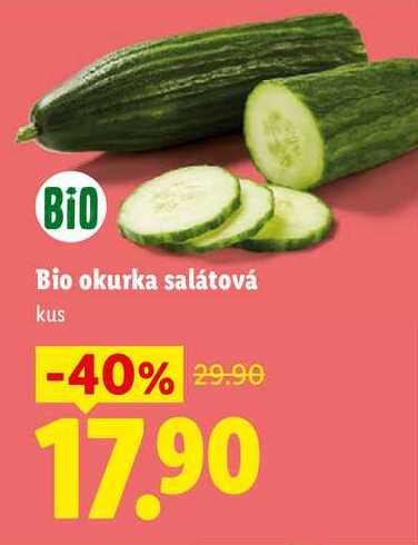 Bio okurka salátová, 1 ks