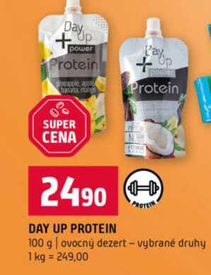 DAY UP PROTEIN 100 g ovocný dezert vybrané druhy