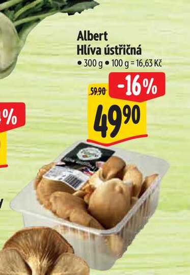 Albert Hlíva ústřičná 300 g 