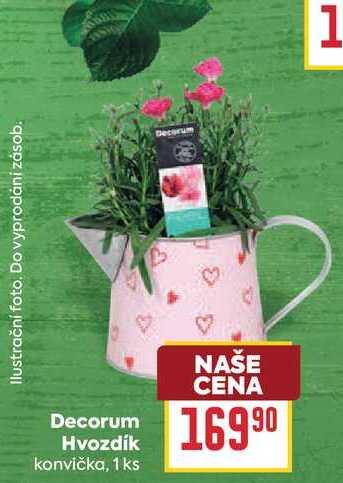 Decorum Hvozdík konvička, 1 ks