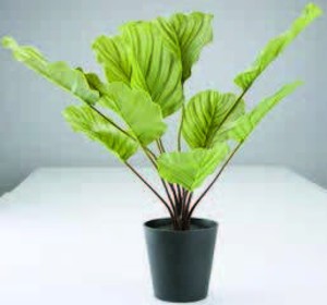 Umělá rostlina ROLF