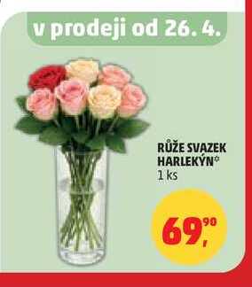 RŮŽE SVAZEK HARLEKÝN, 1 ks 