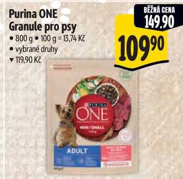 Purina ONE Granule pro psy, 800 g 