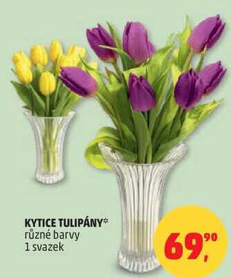 KYTICE TULIPÁNY různé barvy, 1 svazek  