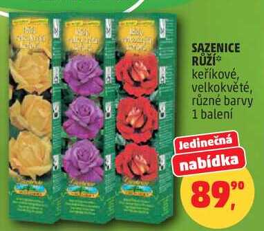 SAZENICE RŮŽÍ keříkové, velkokvěté, různé barvy, 1 balení  