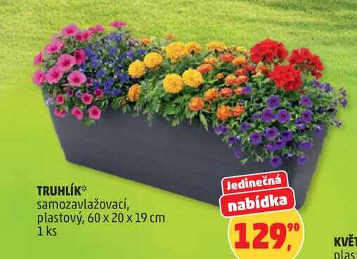 TRUHLÍK samozavlažovací, plastový, 60 x 20 x 19 cm, 1 ks 