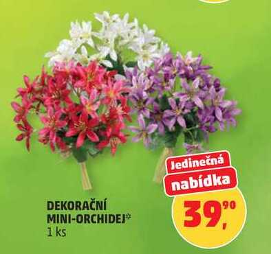 DEKORAČNÍ MINI-ORCHIDEJ, 1 ks Penny Market