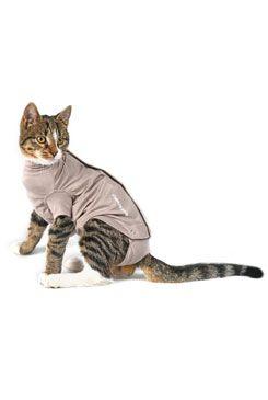 Obleček Body Suit Step N Go cats S Buster