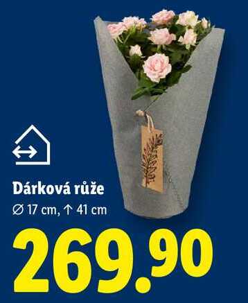 Dárková růže 