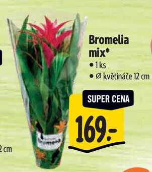 Bromelia mix