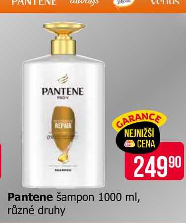 Pantene šampon 1000 ml, různé druhy 