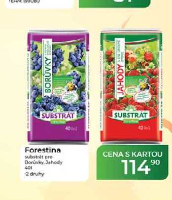 Forestina substrát pro Borůvky, Jahody 40 1 