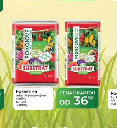 Forestina substrát pro pokojové rostliny 101-201  