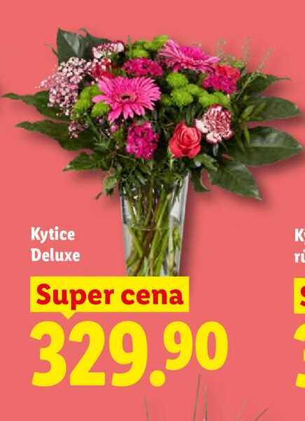 Kytice Deluxe 