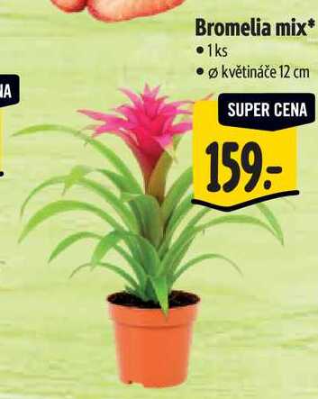 Bromelia mix