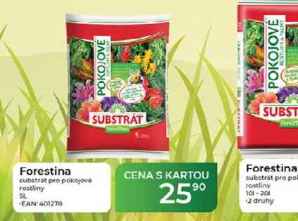 Forestina substrat pro pokojove rostliny 5 L